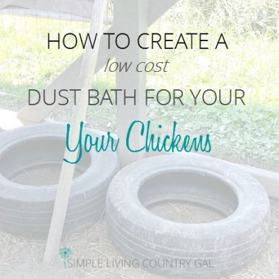 Adding a dust bath to your coop is vital for your hen's health and well being. Easy to follow instructions for a low cost dust bath.