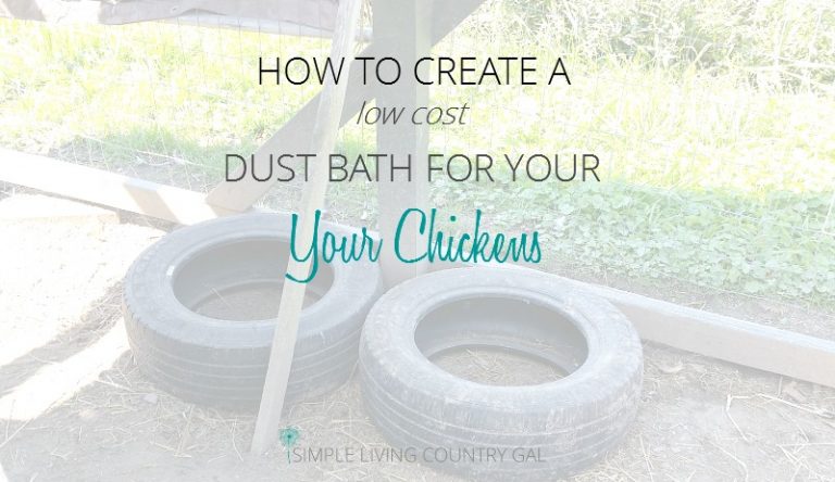 How To Make A DIY Dust Baths For Your Chickens