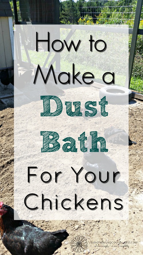 diy chicken dust bath area