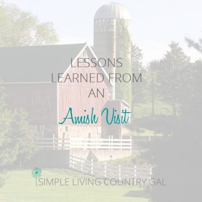 There is alot to learn from the Amish! Read here to find out some great tips to implement in your own life.