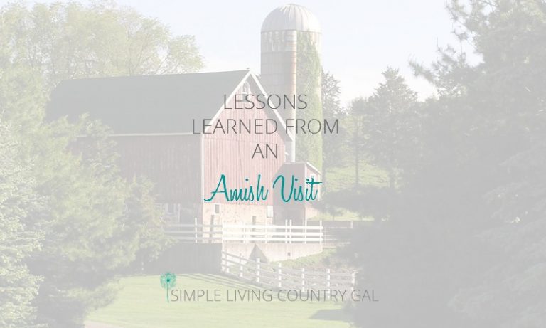 Lessons Learned From An Amish Visit