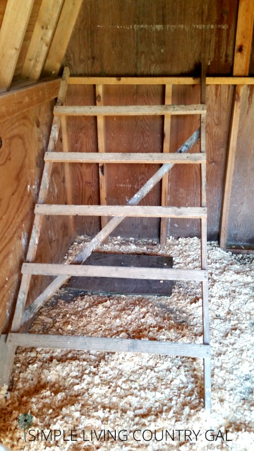 Converting A Shed Into A Chicken Coop Simple Living 