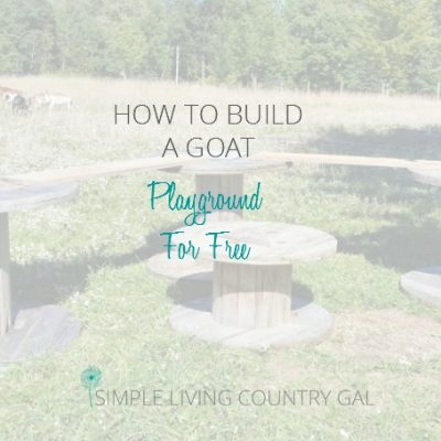 Learning how to make something with what you have on hand is the motto of every homesteader. Learn how to make a playground for your goats for free.