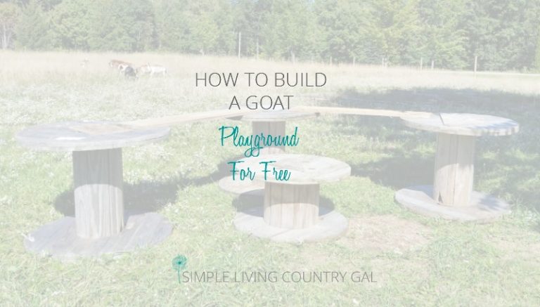 Building A Free DIY Goat Playground – Step by Step