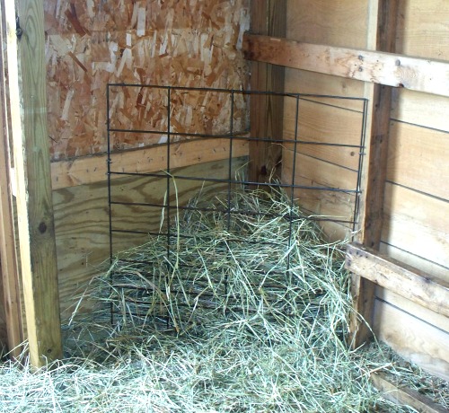 Hay Feeder Options For Goats | Simple Living Country Gal