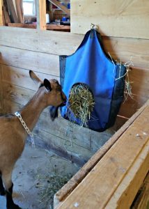 diy goat hay feeder