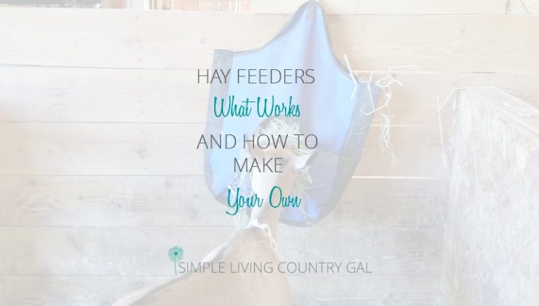 Hay Feeder Options For Goats