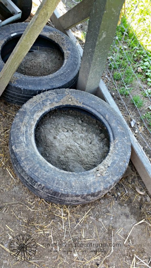 old tires willed with dirt and wood ash in a chicken coop