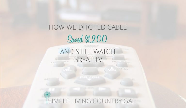 How We Ditched Satellite TV And Saved $1,200 A Year!
