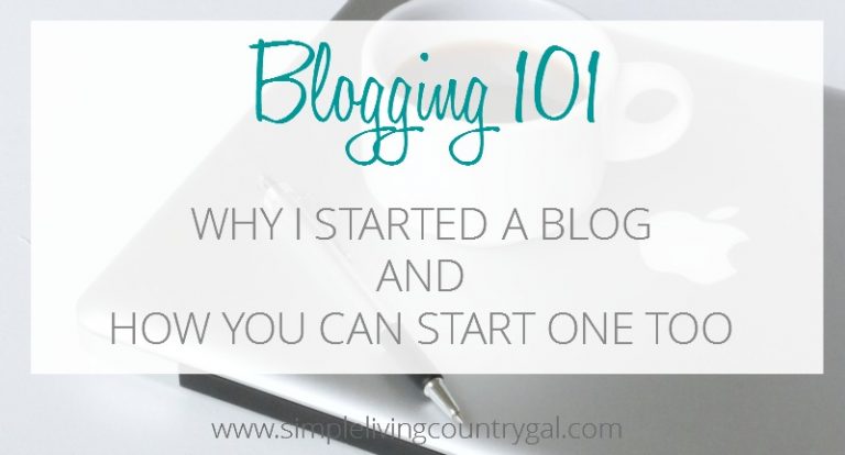 My Blogging Journey, The Beginning…..