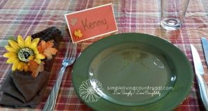 A diy place setting to save money on thanksgiving dinner.