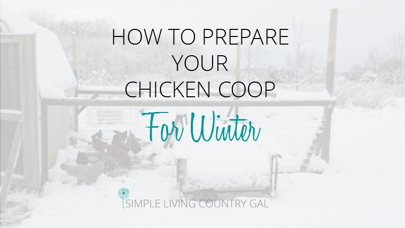 Preparing Your Coop For Winter - Durvet