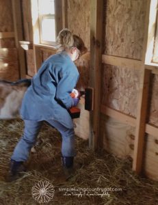 A woman using a drill to attach a brush head to a barn wall 