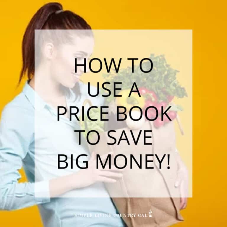 How To Make A Price Book, Save Hundreds!