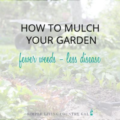 If you love to garden but hate to weed, then this post is for you. My super simple and incredibly effective tip that will keep you out of your garden and off your needs this growing season. #garden #gardentips #gardeningforbeginners #slcg