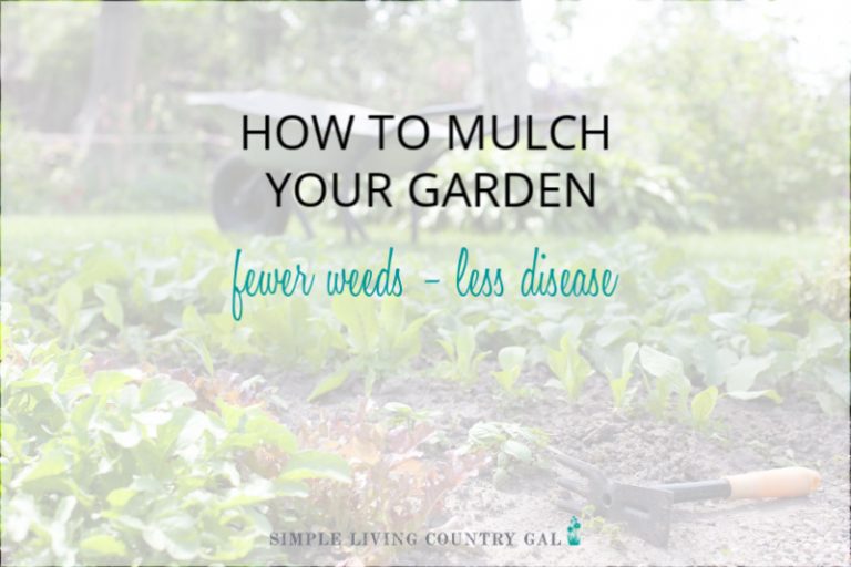 The Benefits Of Mulching Your Garden