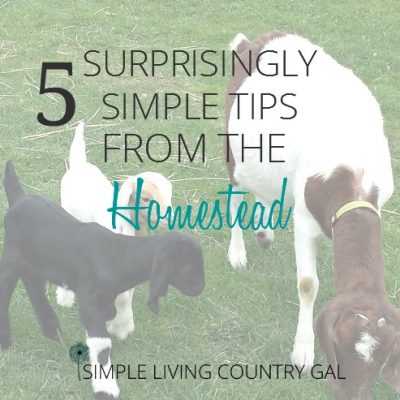 5 Simple tips for the homestead and garden. These tips will save you time and money.