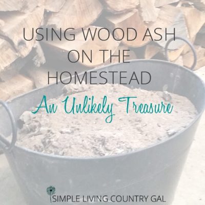 Using wood ash in the garden and in your compost pile is an inexpensive way to fight pest and improve soil quality.