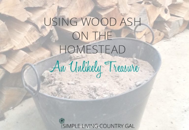 How to Use Wood Ash On The Homestead