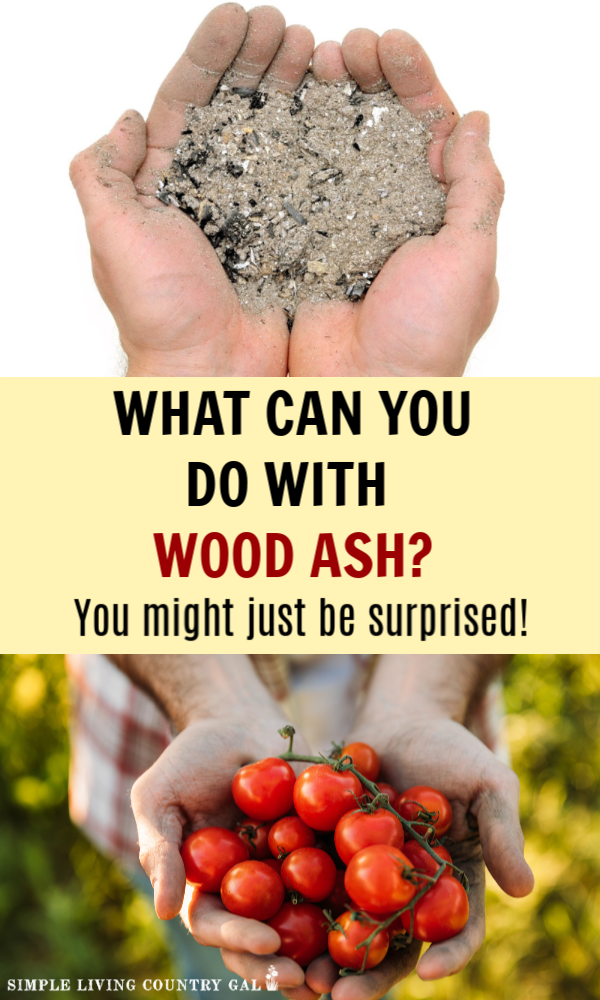 What To Do With Wood Ash On The Homestead Simple Living Country Gal