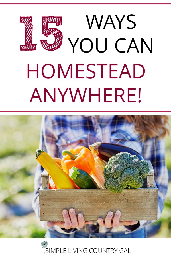 15 Ways To Homestead Anywhere Simple Living Country Gal 5435