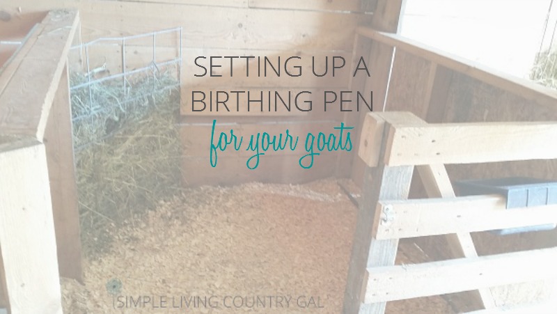 Setting Up A Birthing Pen For Your Goats