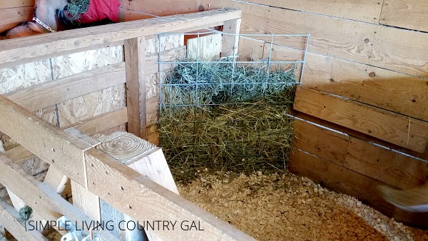 Setting Up A Birthing Pen For Your Goats | Simple Living Country Gal