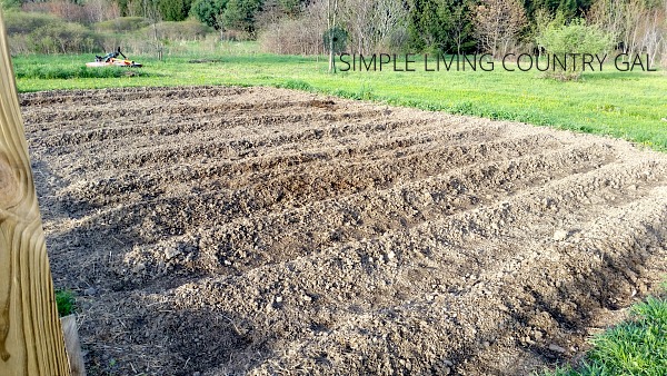 Mulch your garden for healthier plants.