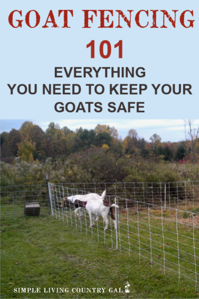 Goat Fencing 101 Everything You Need To Know Simple Living Country Gal