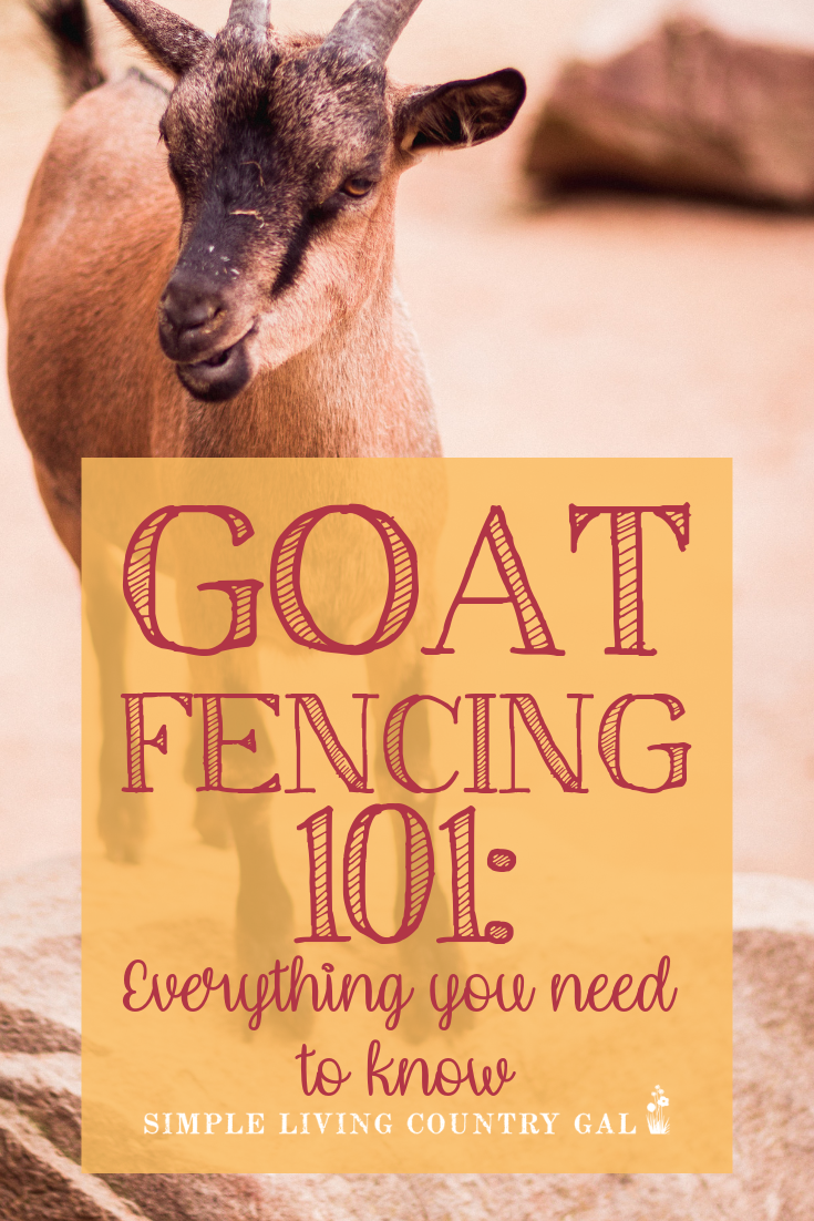 Goat Fencing 101, Everything You Need To Know | Simple Living Country Gal