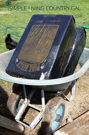 How to Winterize the Chicken Coop: 4 Steps for Success – Backyard