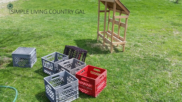Milk crates spread out in the lawn being washed with a hose