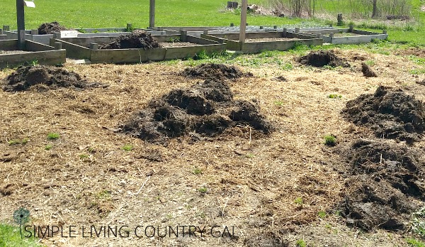 Soiled litter from the deep litter method is a great way to clean out chicken coops in the springtime