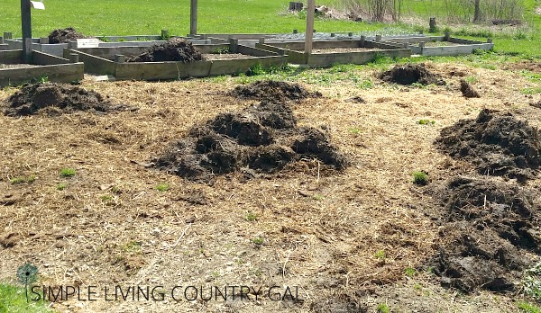 How to Winterize the Chicken Coop: 4 Steps for Success – Backyard