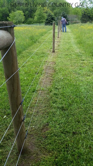 You can check the condition of the fence while you trim along the line