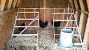 Converting A Shed Into A Chicken Coop - FinisheD Spring Clean Coop 300x169