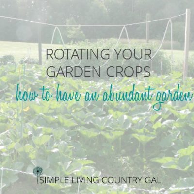 use this simple tip to ensure your soil keeps the nutrients needed to grow large and healthy plants year after year.