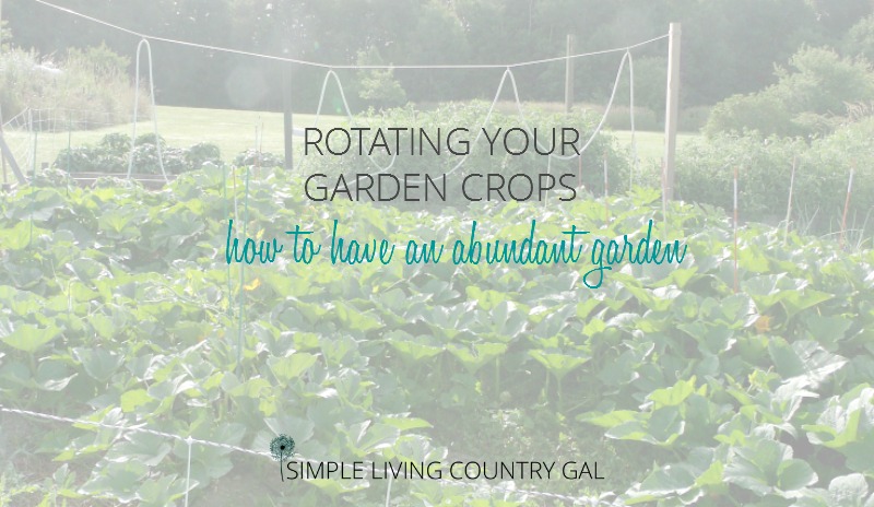 Rotating Your Garden Crops - An Important Step To A Successful Harvest