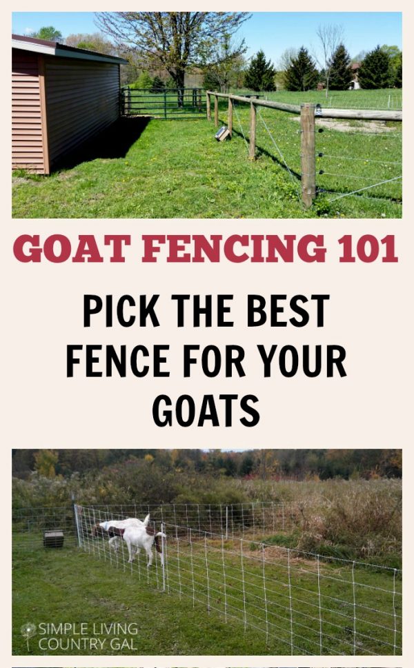 Goat Fencing 101, Everything You Need To Know | Simple Living Country Gal