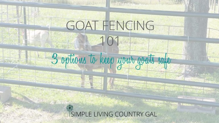 Goat Fencing 101, Everything You Need To Know