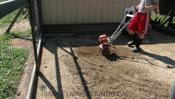 Cleaning Out The Chicken Coop Naturally And Safely Simple Living