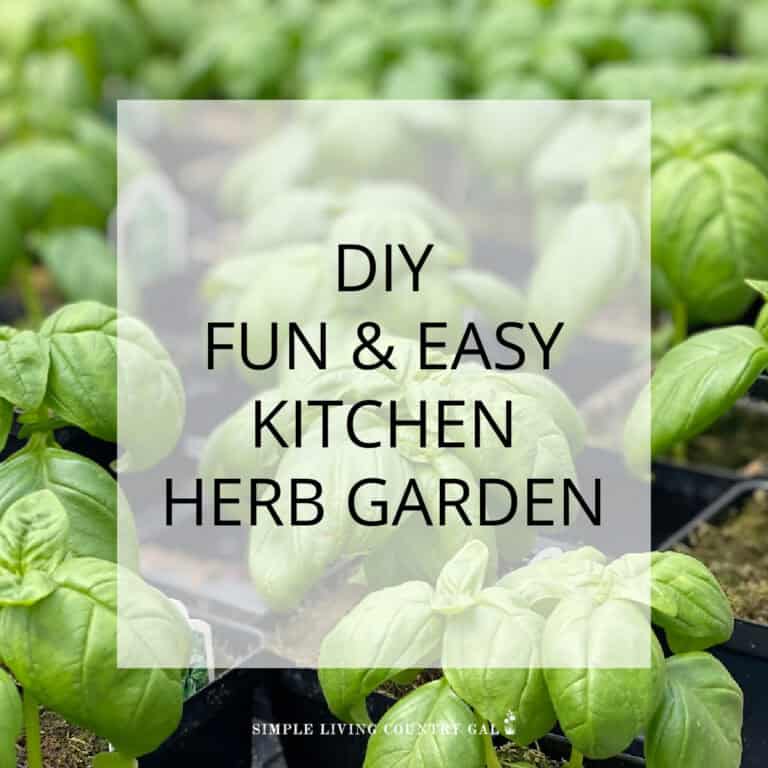 DIY kitchen herb garden