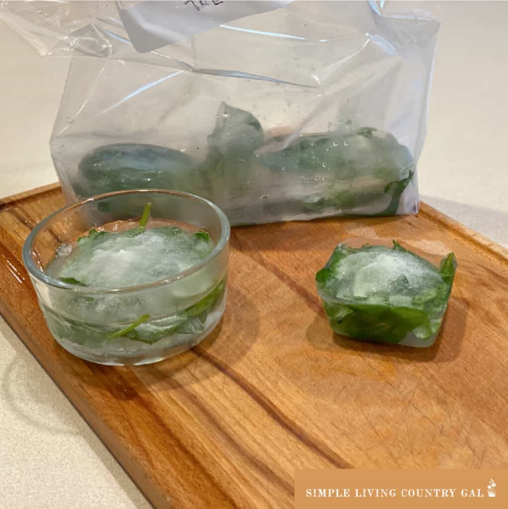 a freezer bag of frozen spinach cubes for chickens