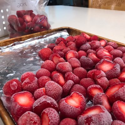 a freezer tray of frozen strawberries. learn how to best freeze berries so they are fresh all winter long.