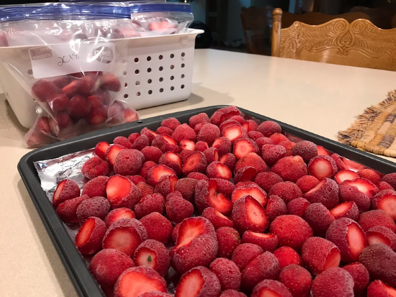 Freezing strawberries on a cookie sheet