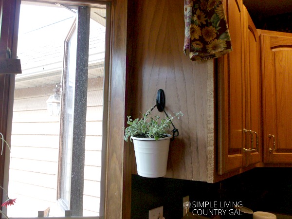A potted herb hangs on the cabinet in a DIY kitchen herb garden. 