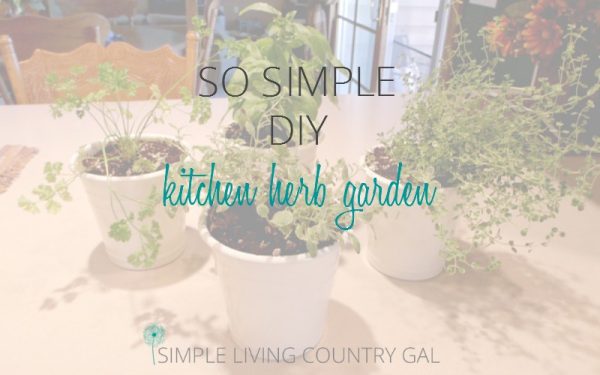 So Simple DIY Kitchen Herb Garden