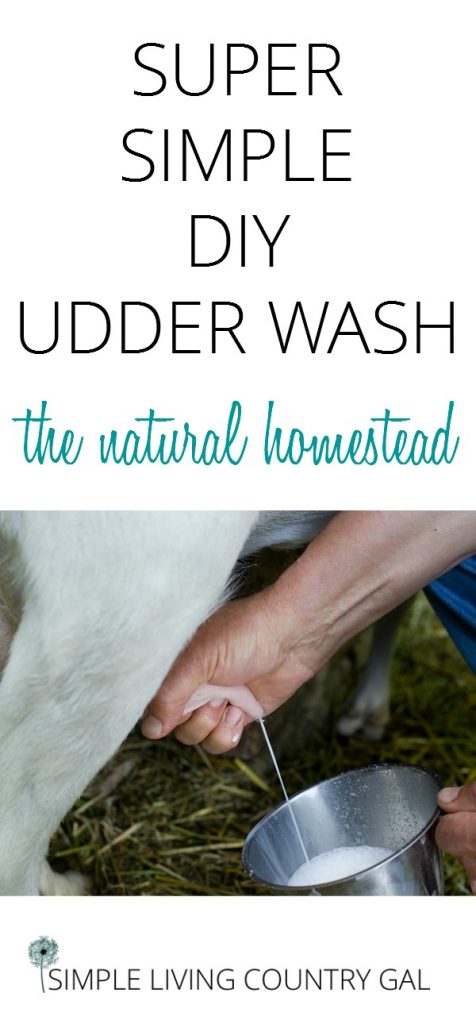 DIY udder wash