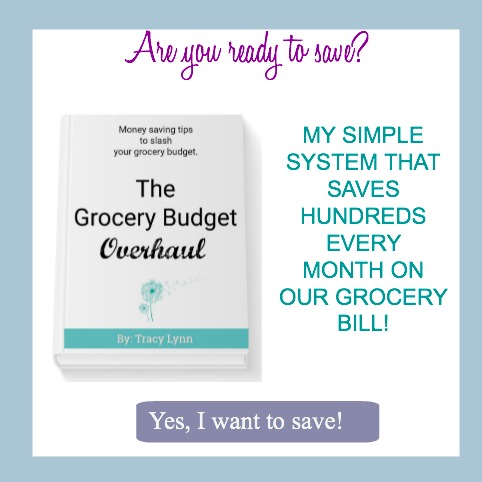 Are you ready to save? Get The Grocery Budget Overhaul book and save hundreds on your grocery bill. 