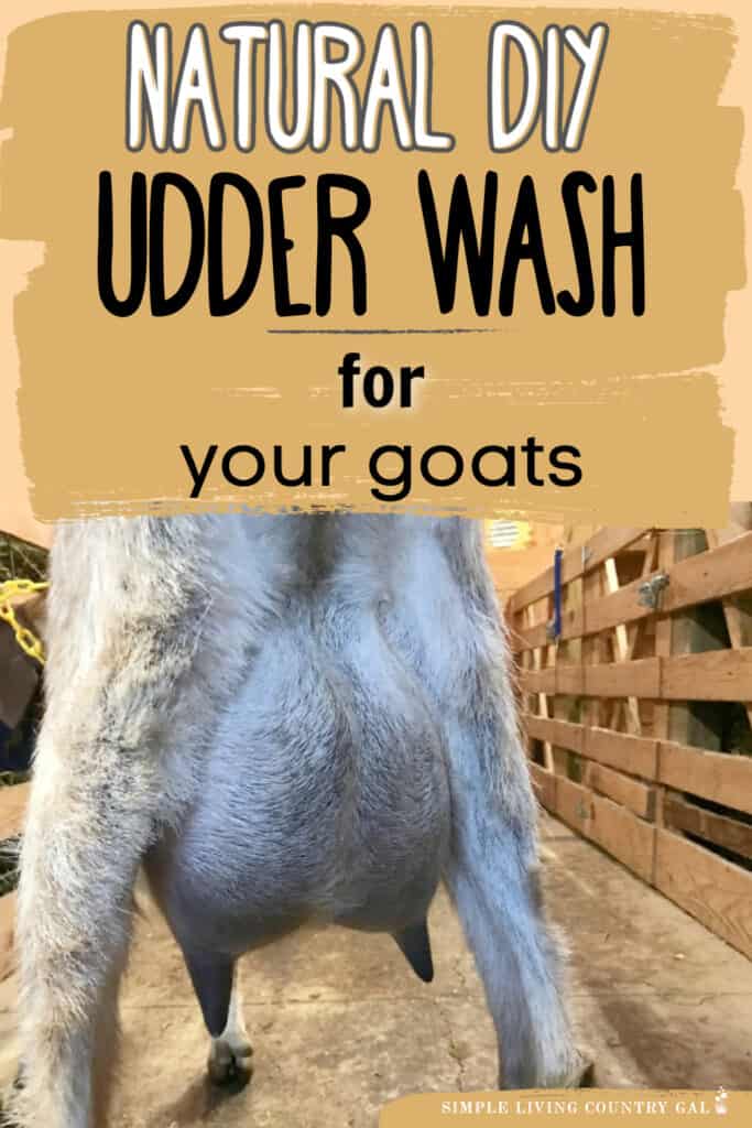 simple diy udder wash